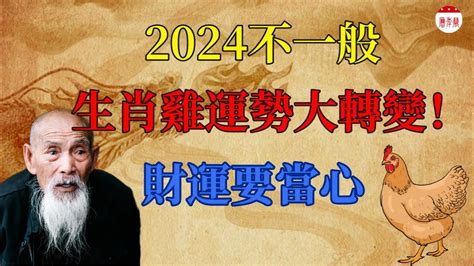 81年屬雞|【1981 雞】1981 雞年運勢大揭密：五行、大運及 2024 年運程！